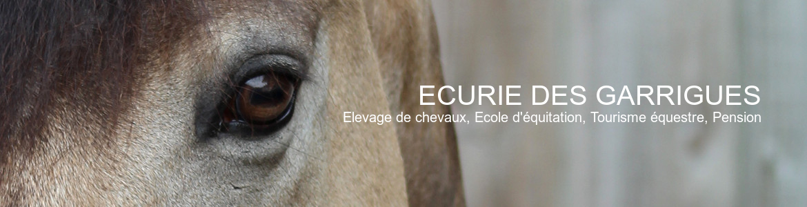 ECURIE DES GARRIGUES